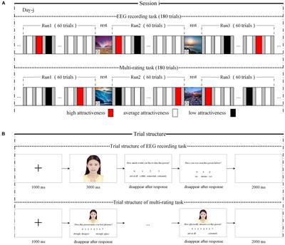 Roles of P300 and Late Positive Potential in Initial Romantic Attraction